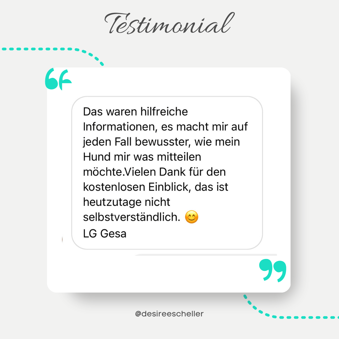 Kopie von Testimonial